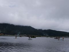 -腾冲北海湿地