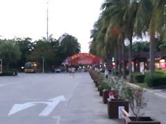 -万绿园
