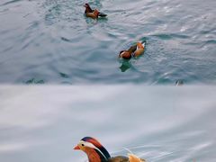 -北海公园
