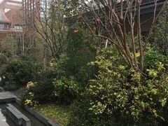 -水月周庄铂尔曼酒店 · 漾全日餐厅