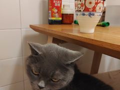 -春笙食堂.丼饭拉面寿司(GOGO新天地店)