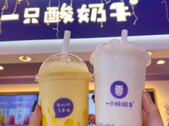 -一只酸奶牛(八一路店)