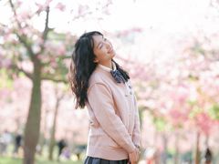 -风云岭森林公园