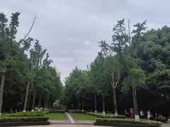 -苏州河梦清园环保主题公园