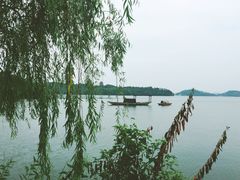 -久宴·天目湖大鱼头(恐龙园店)
