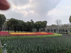 -大宁公园
