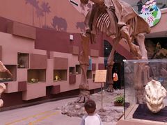 -陕西自然博物馆