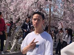 -西安青龙寺遗址景区