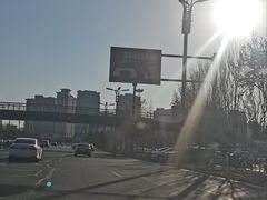 -洛阳市隋唐城遗址植物园