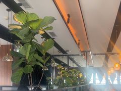 -半秋山西餐厅(宜昌大洋店)