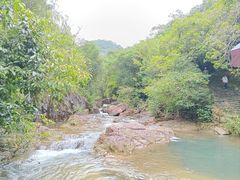 -广州白江湖森林公园