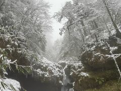 -龙苍沟森林公园