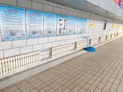 -陕西省游泳跳水馆