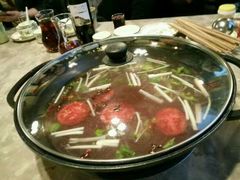 -易门野生菌府·菌海森林(月牙潭公园店)