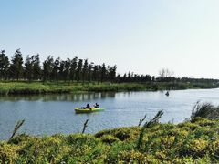 -春花秋色城市公园