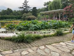 -国家植物园南园