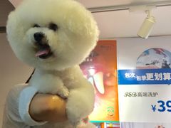 -PETKIT小佩宠物(古北店)