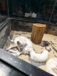 -未来动物城主题公园(正弘城店)