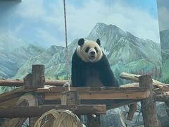 -武汉动物园