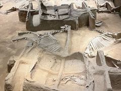 -洛阳周王城天子驾六博物馆