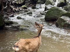 -昆明青龙峡风景区