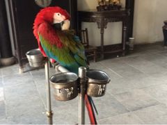 iphone_upload_pic-朱家角课植园