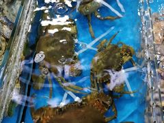 -四川小胡子海鲜(丁村万人海鲜广场店)