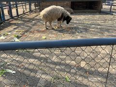 -长白岛森林公园