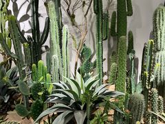 -百荣世贸商城