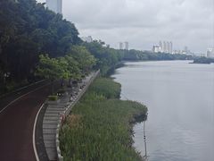 -南宁沃顿国际大酒店-自助餐厅