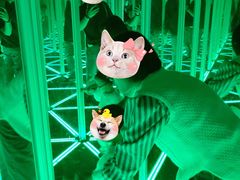 -苏州青少年科技馆