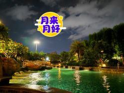 -禧月荟S月子中心(侨城店)