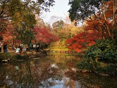 -秋霞圃
