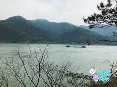 -羚羊峡古栈道森林公园