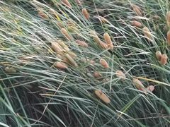 -党河风情线国家水利风景区