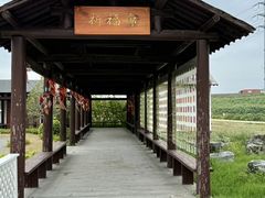 -杭州湾海上花田景区