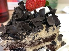 -维尔纳斯·生日蛋糕动物奶油冰淇淋蛋糕(人大店)