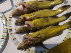 -吉布鲁牛排海鲜自助(温江合生汇店)