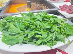 -皇城老妈·大连海鲜火锅(港湾店)