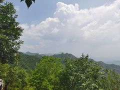 -大岭沟猕猴桃谷风景区