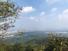 -紫金山山顶公园
