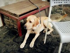 -漕溪人家