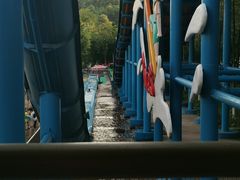 -重庆海昌加勒比海水世界