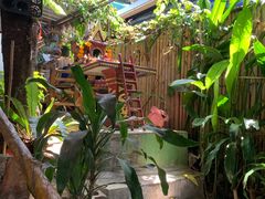-Jungle Kitchen