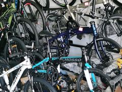 -道路口单车爱瓦士dahon大行