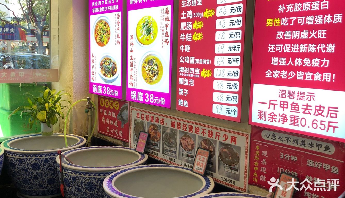 吃甲鱼的专门店  达人甲.砂锅甲鱼
