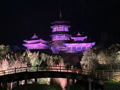 -禅宗少林·音乐大典