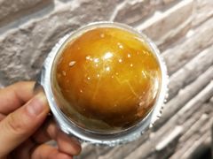 蛋黄酥-卡吉诺动物奶油生日蛋糕(中原路店)