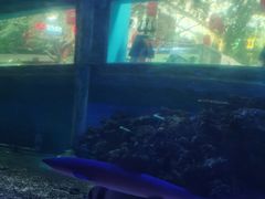 -北国之春国宴(乌兰察布店)