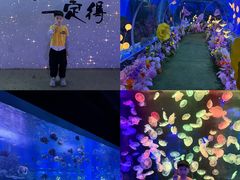 -顺德南宏海立方海洋公园